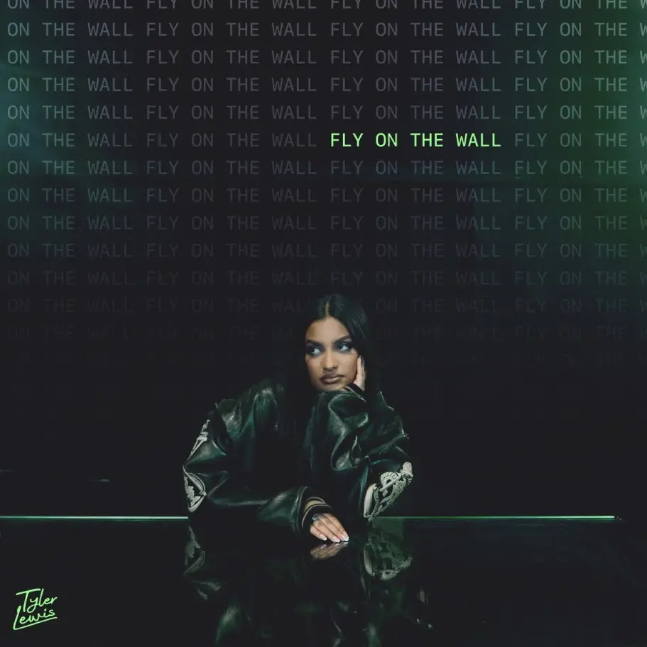 Fly On The Wall -Single Cover